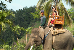 Elephant Trekking Tour